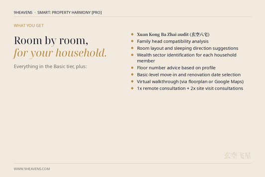 What's included in the 9Heavens Smart: Property Harmony [Pro] feng shui consultation